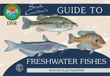 Guide to Freshwater Fishes