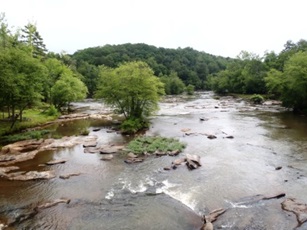 Wadeable Small River in South Carolina