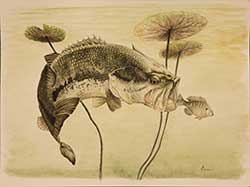 Large Mouth Bass Artwork