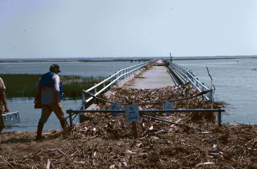 Moores Landing, Sewee Bay (Bryan Stone)