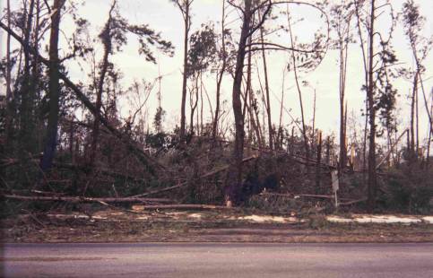 Moncks Corner (Mike Loftus)