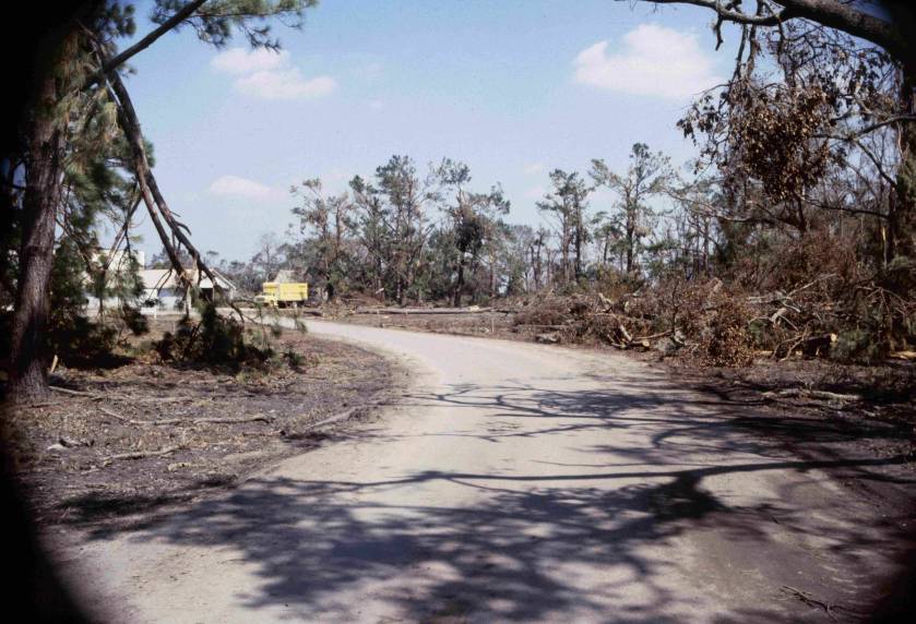 Fort Johnson (Bryan Stone)