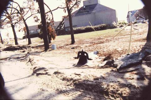 Sullivan's Island (Ann L. Furr)