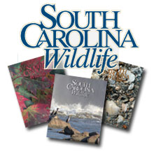 SC Wildlife Magazine