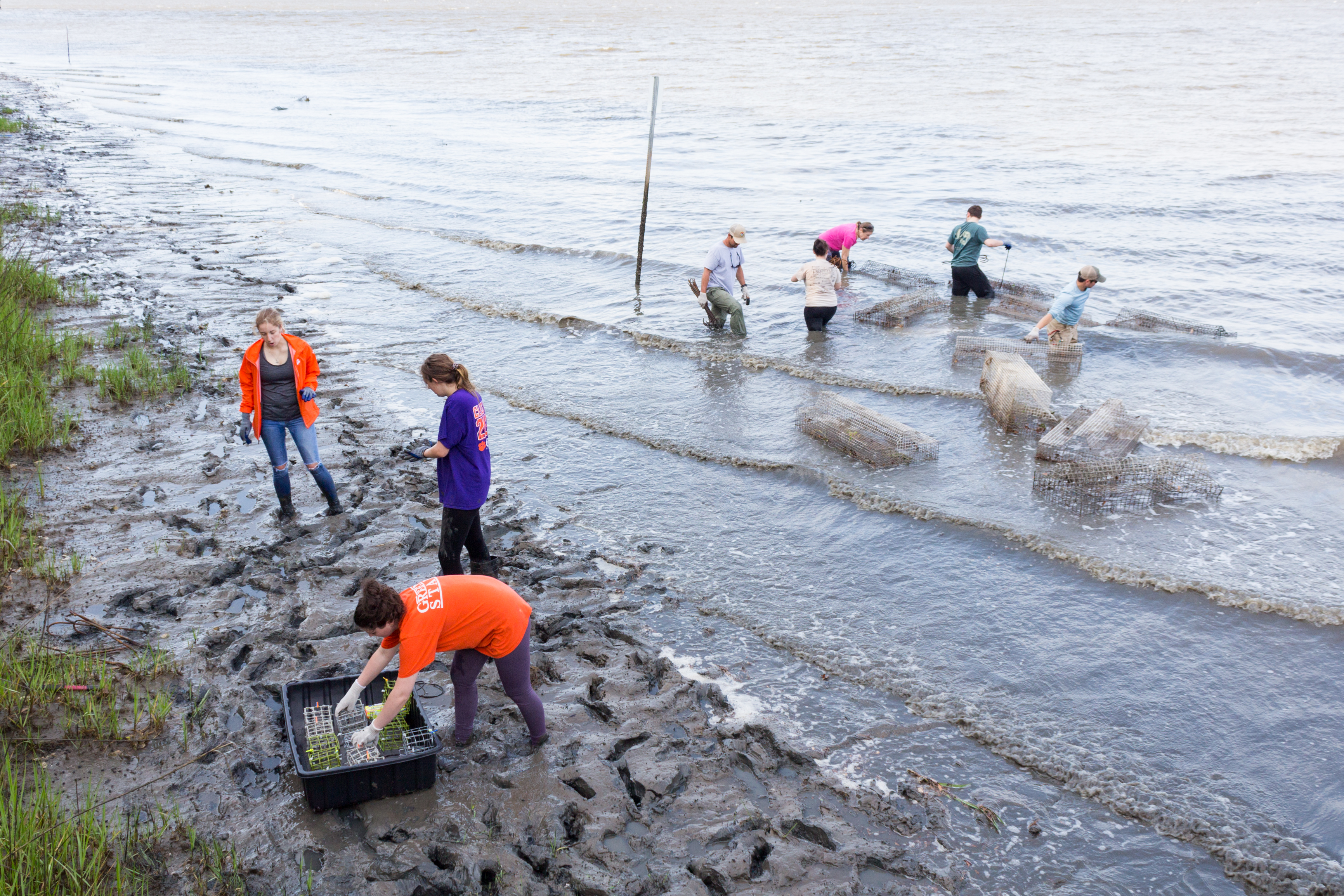 Clemson researchers deploying structures for a living shoreline alongside members of the SCDNR Crustaceans lab