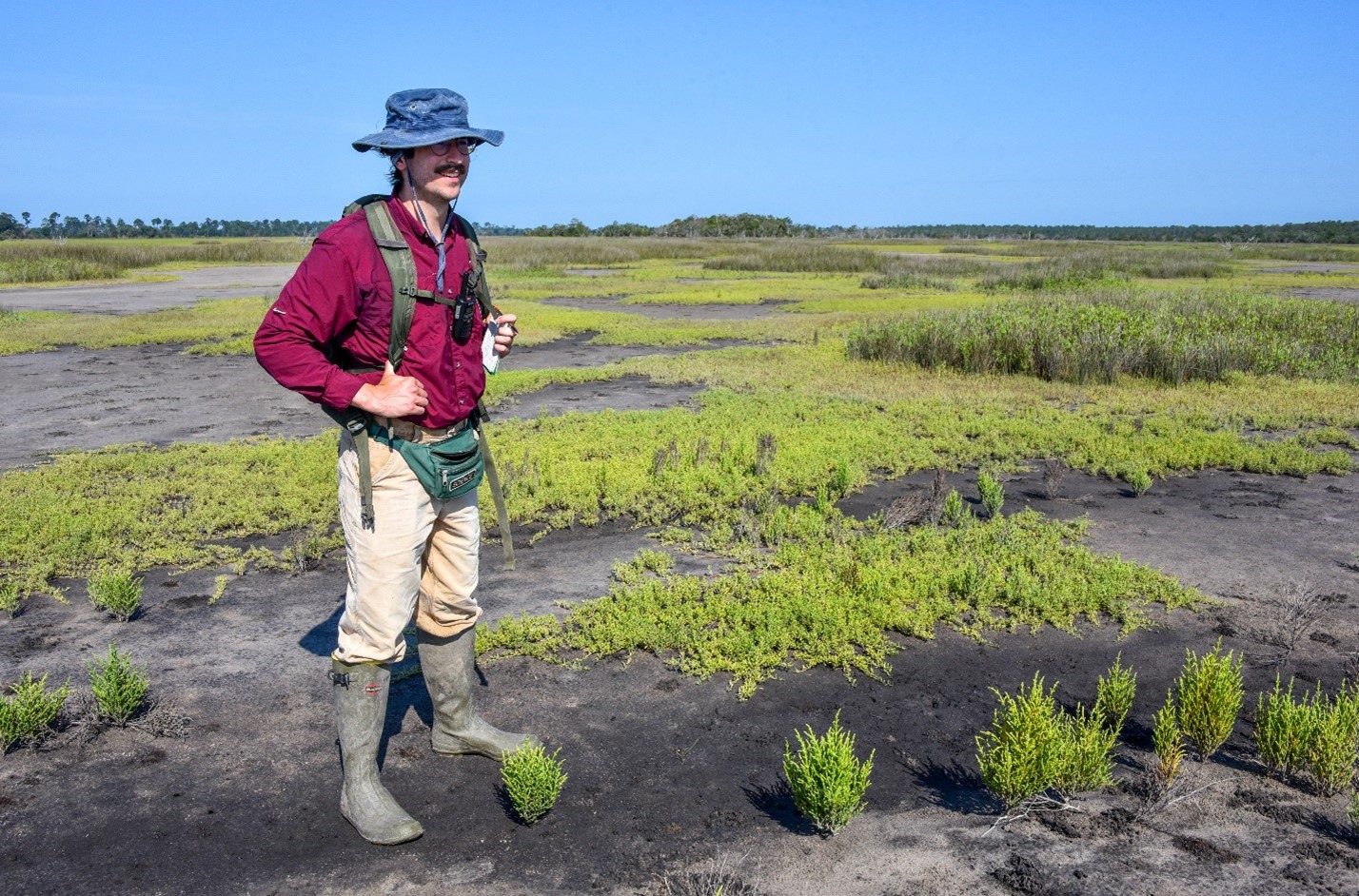 The Field Station, pavillion and dock from above