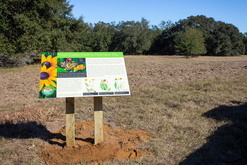 Signage at South Fenwick Island with information on a pollinator field in the background.