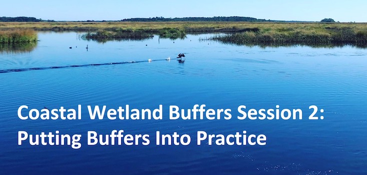 A preview of the wetlands training recording