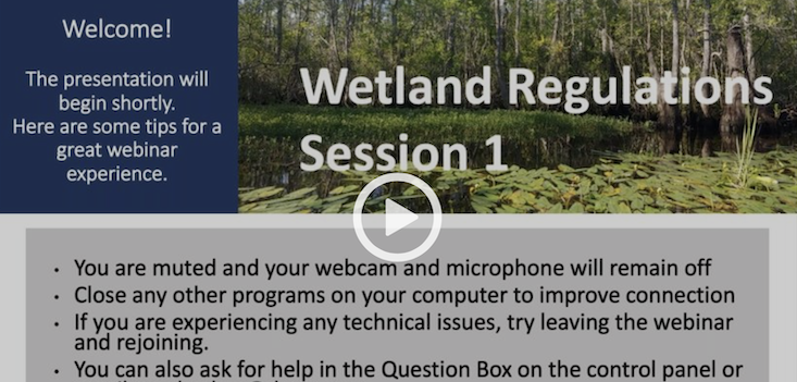 A preview of wetlands regulation training