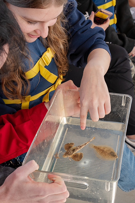 A class aboard the E/V Discovery holding a trawl net and learning how it functions