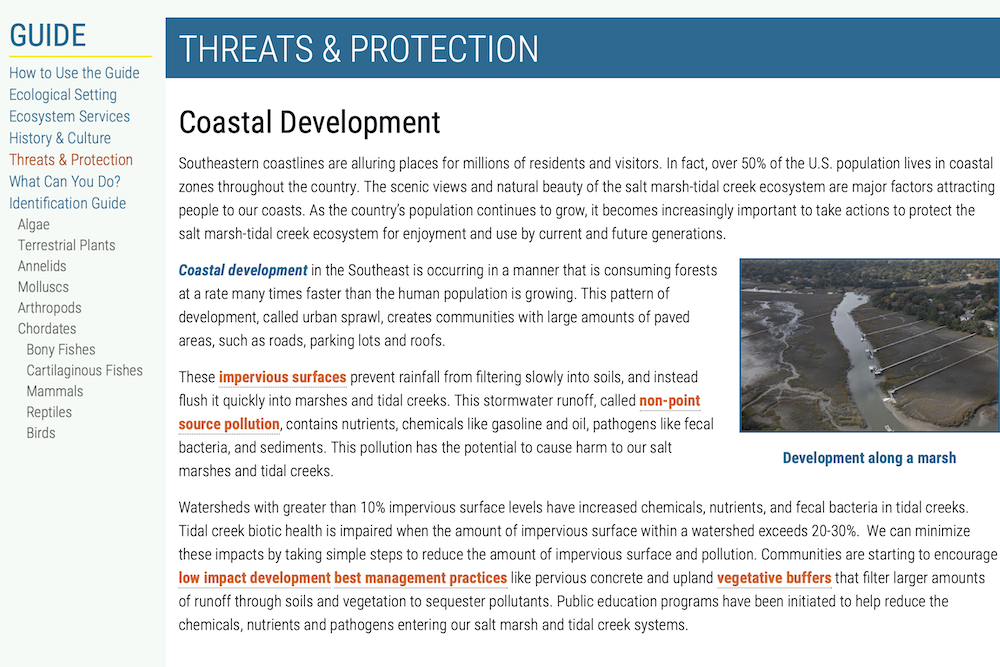 A page of the saltmarsh guide detailing threats to the saltmarsh