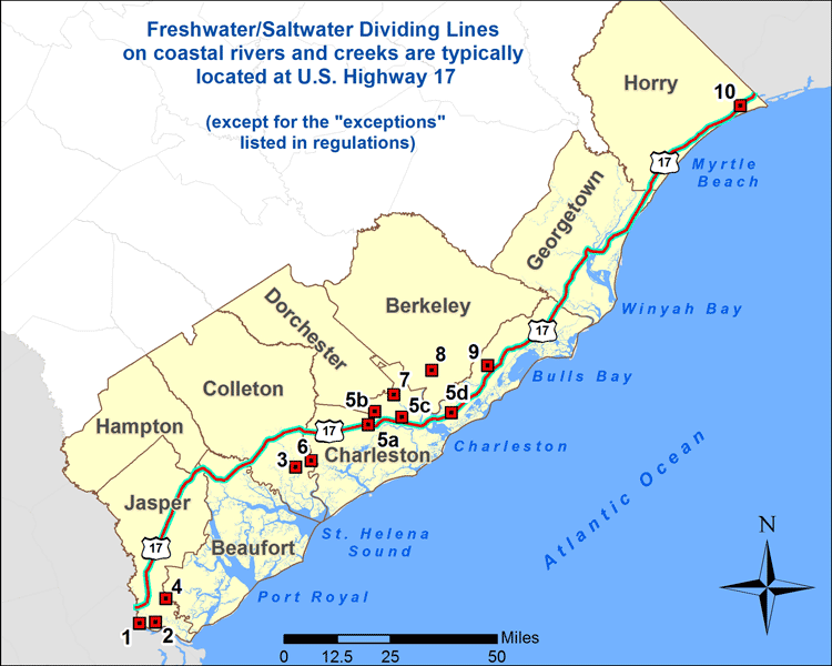 Saltwater Freshwater Dividing Line in South Carolina