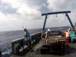 RFS biologists prepare to deploy Short Bottom Longline gear from the back deck of the RV Palmetto.