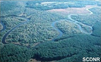 Aerial view of the South Edisto River
