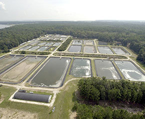 Aerial View of Waddell Mariculture Center
