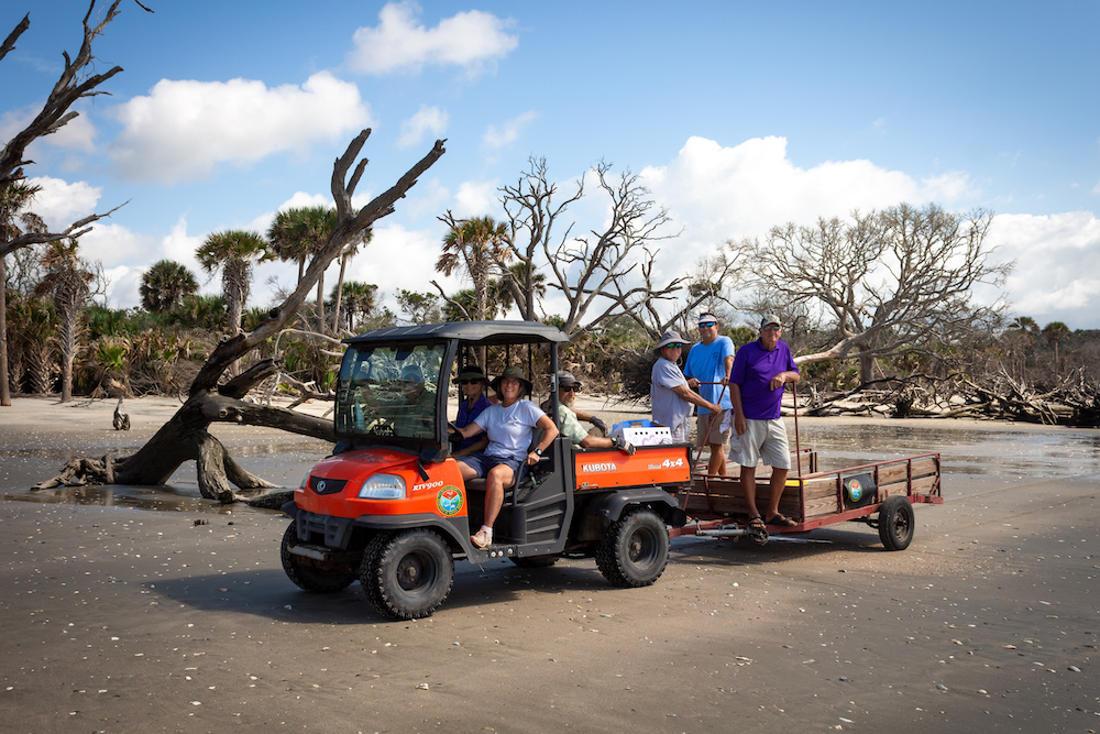 Volunteers aboard an all terain vehicle on the beach at Botany Bay Plantation
