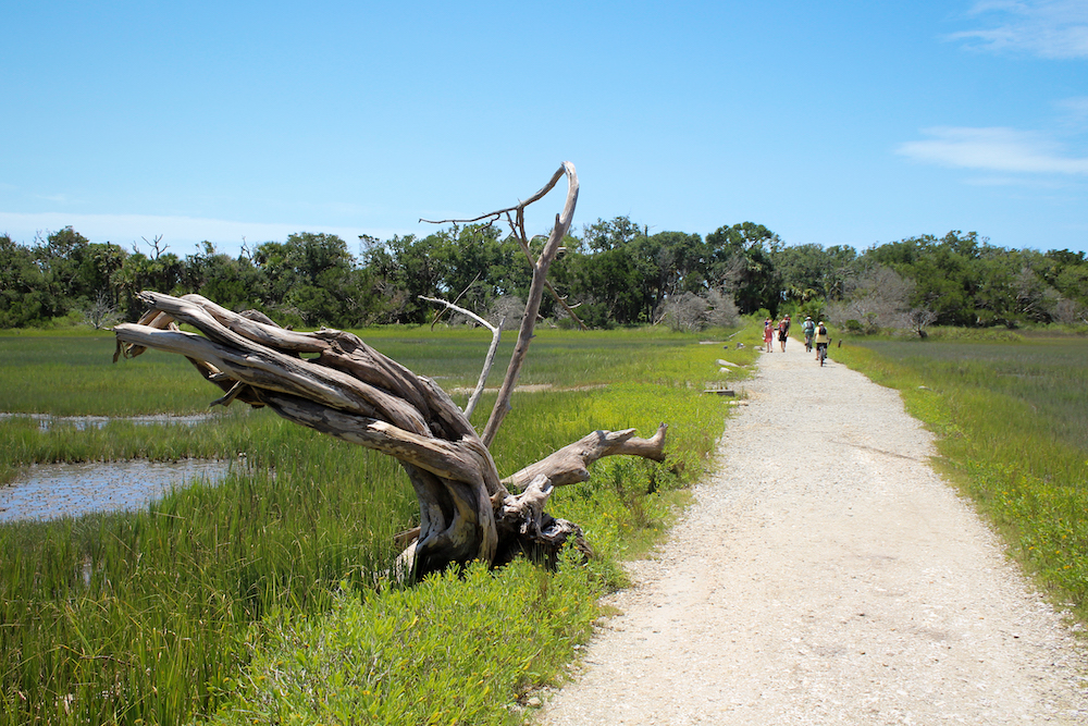 People walking a sandy path through the marsh out to the beach at Botany Bay