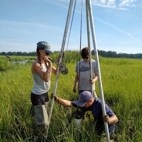 Researchers in the field collecting samples from the marsh