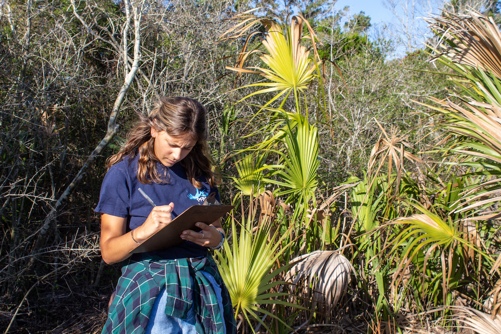 A volunteer collecting data from a cleanup on Morris Island, SC