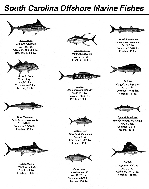 Game Fish Food Variety 7 lb