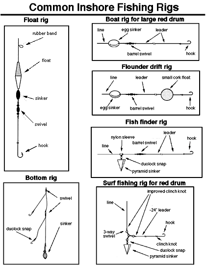 Different Types of Saltwater Fishing Techniques