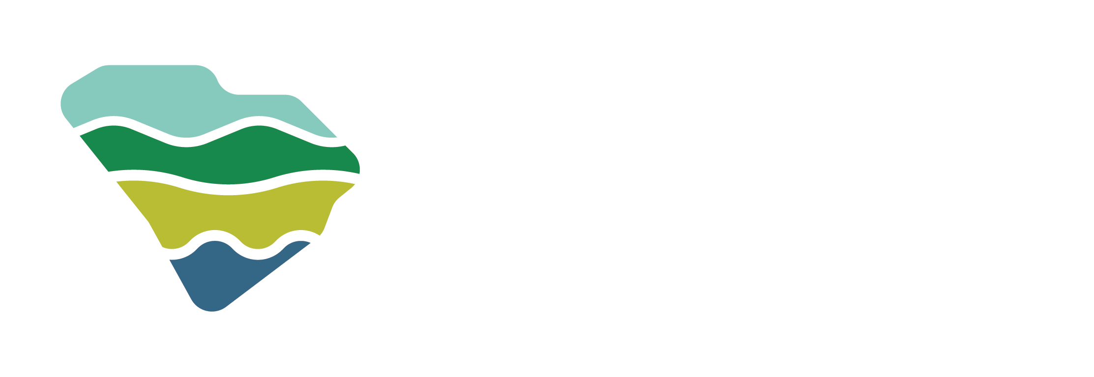 South  Carolina Department of Environmental Services