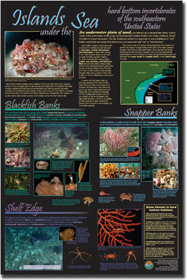 Islands under the Sea poster