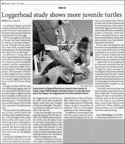 Newspaper Article on Loggerhead turtles