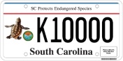 SC Sea Turtle License Plate