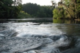 Lower Saluda Scenic River
