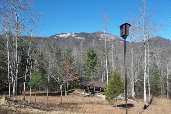 Bat boxes at Table Rock State Park. Photo by Mary Bunch