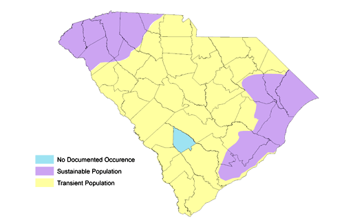 Graphic of Black Bear Distribution of Black Bears