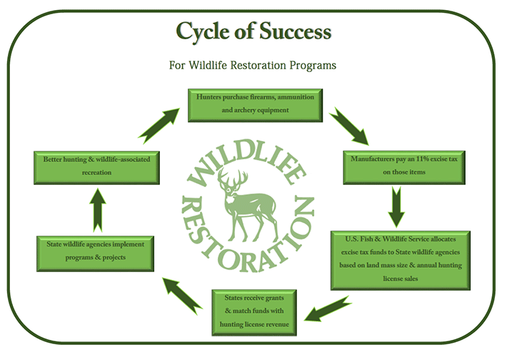 Cycle of Success Graphic courtsey of U.S. Fish and Wildlife Service - Wildlife Restoration